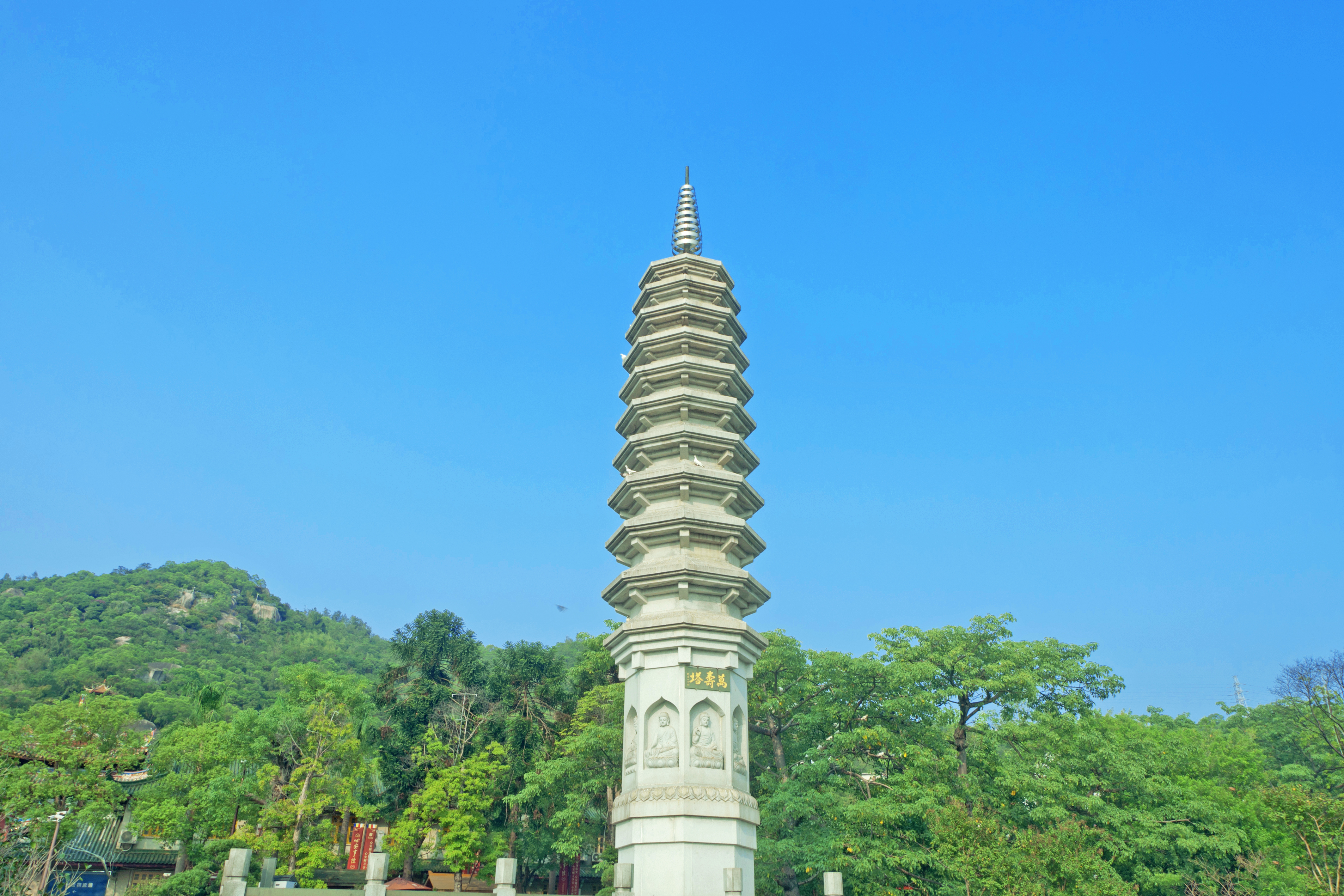 南普陀寺放生池