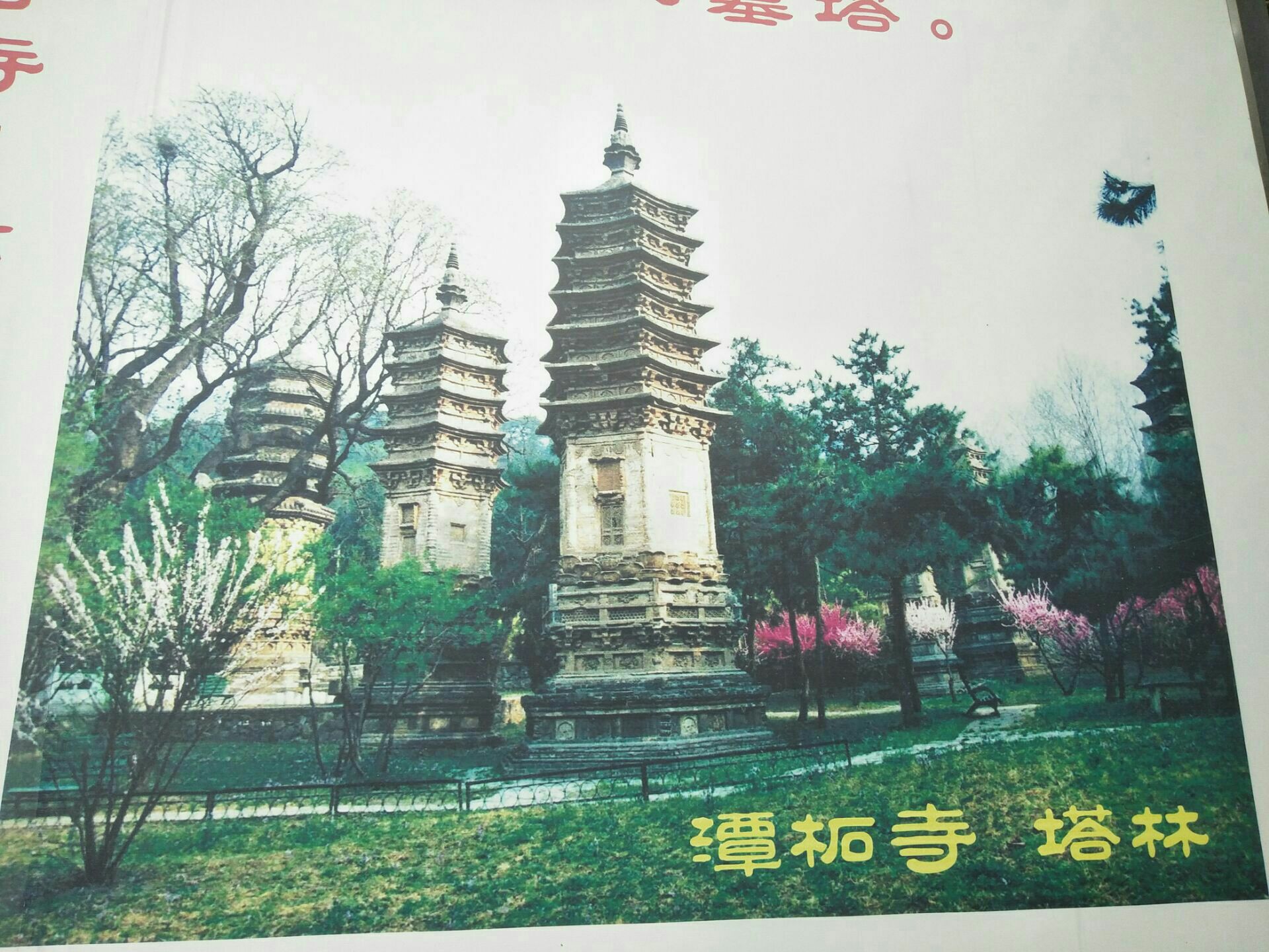 2020潭柘寺-旅游攻略-门票-地址-问答-游记点评,北京旅游旅游景点推荐