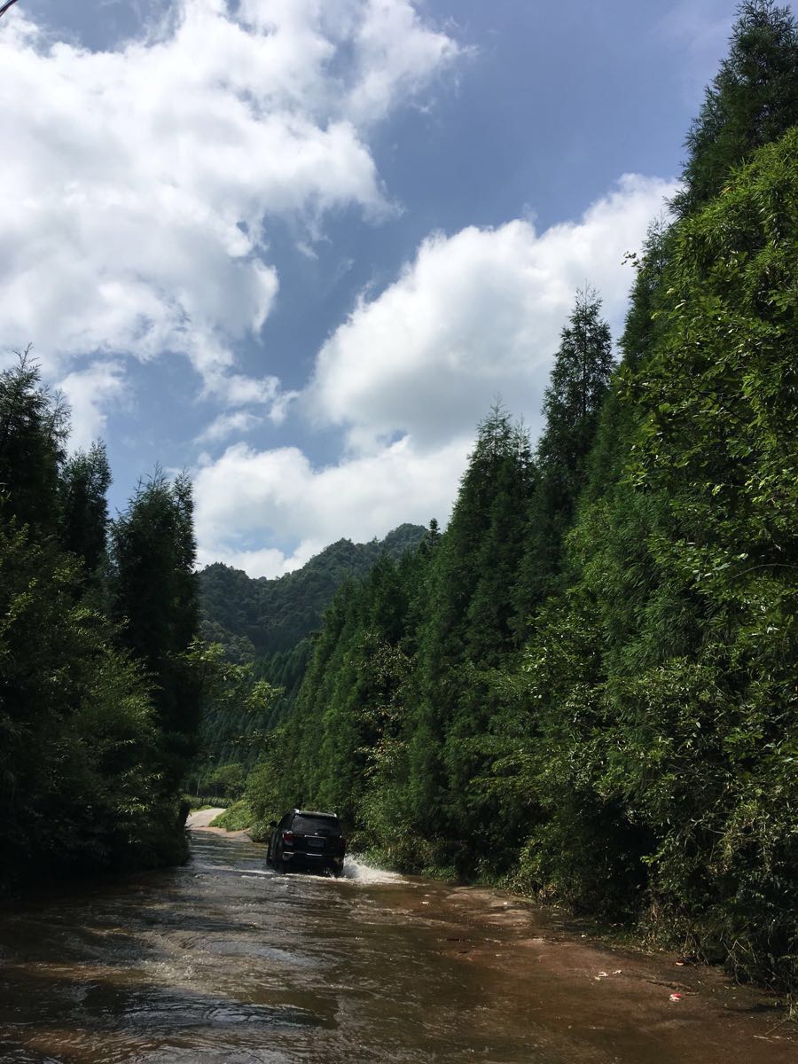 飞鸽景区