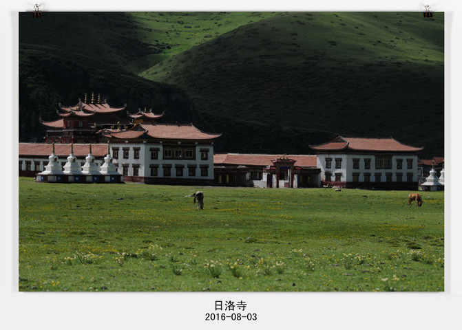 车子开在完全没有路的道上,淌水越沟,停在日洛寺前的草原上.