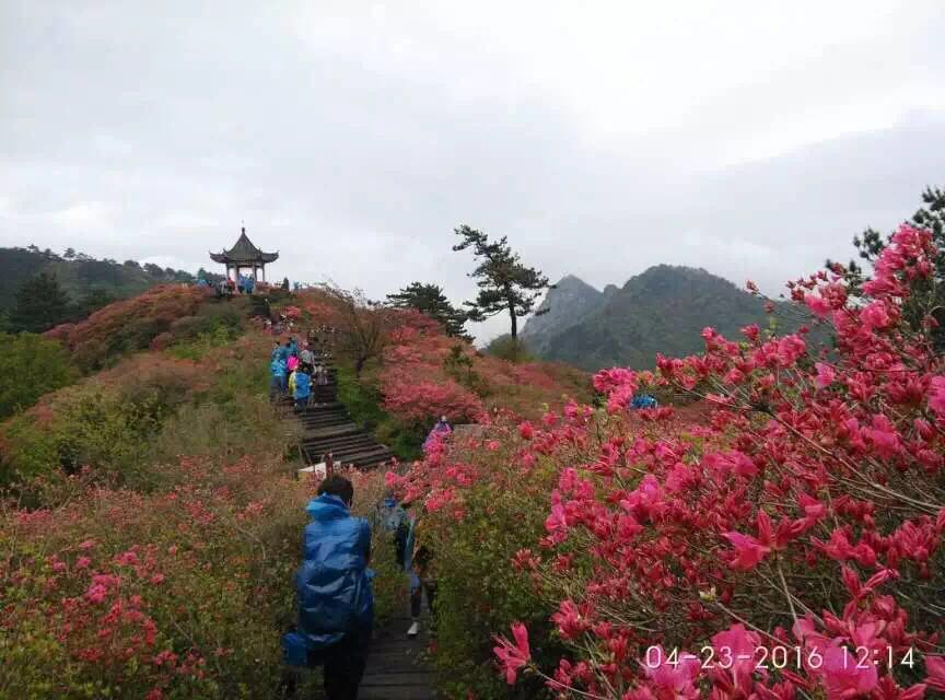 麻城杜鹃花溪漂流