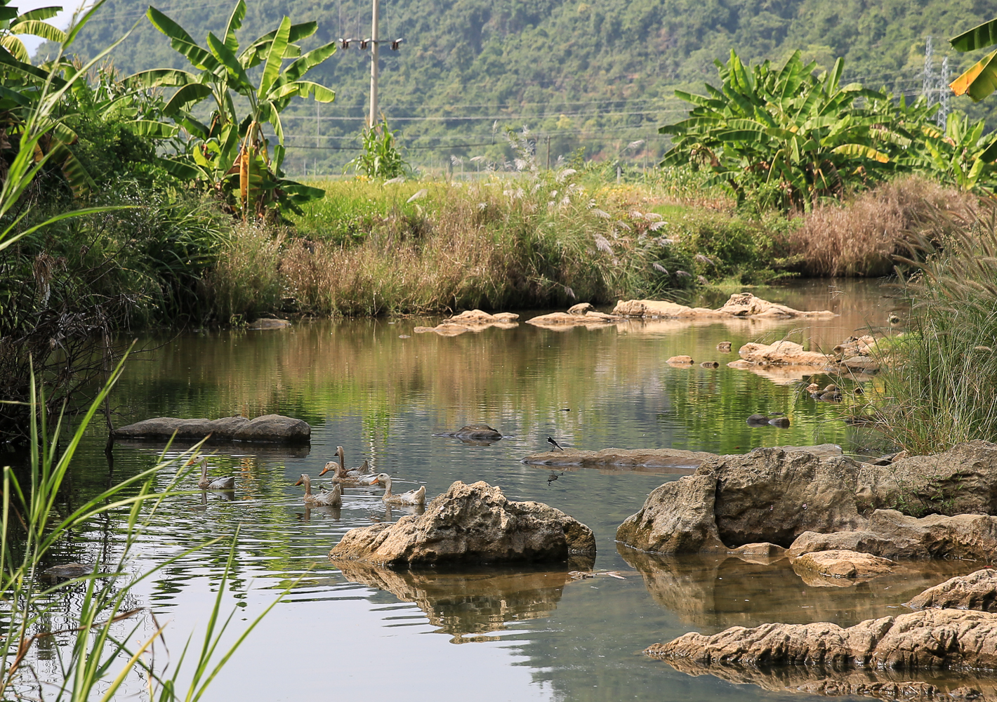 黑水河