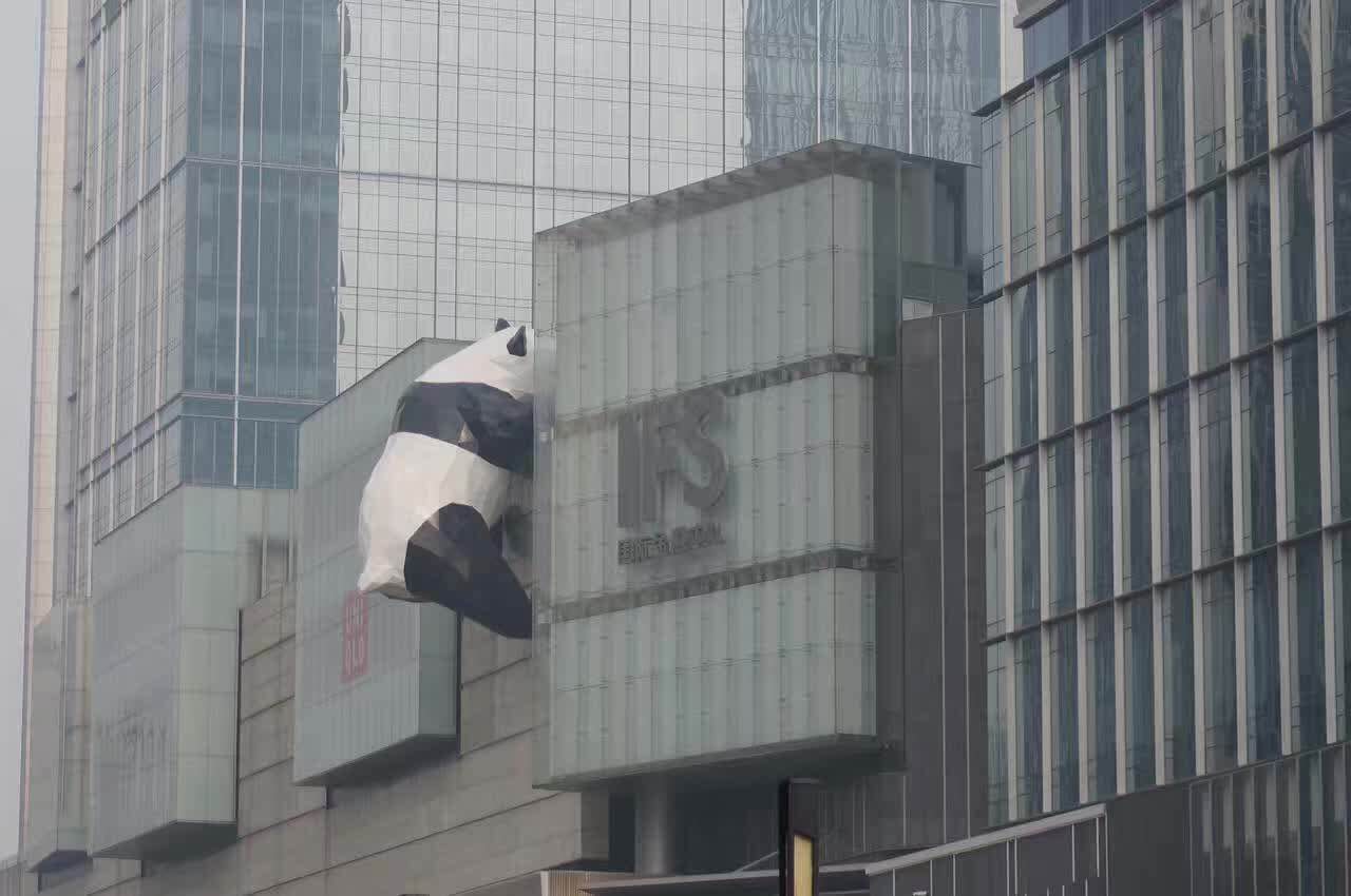 成都楼房上的熊猫,成都大熊猫爬楼,成都楼顶上的熊猫_大山谷图库