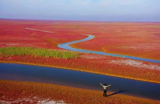 黄河口生态旅游区