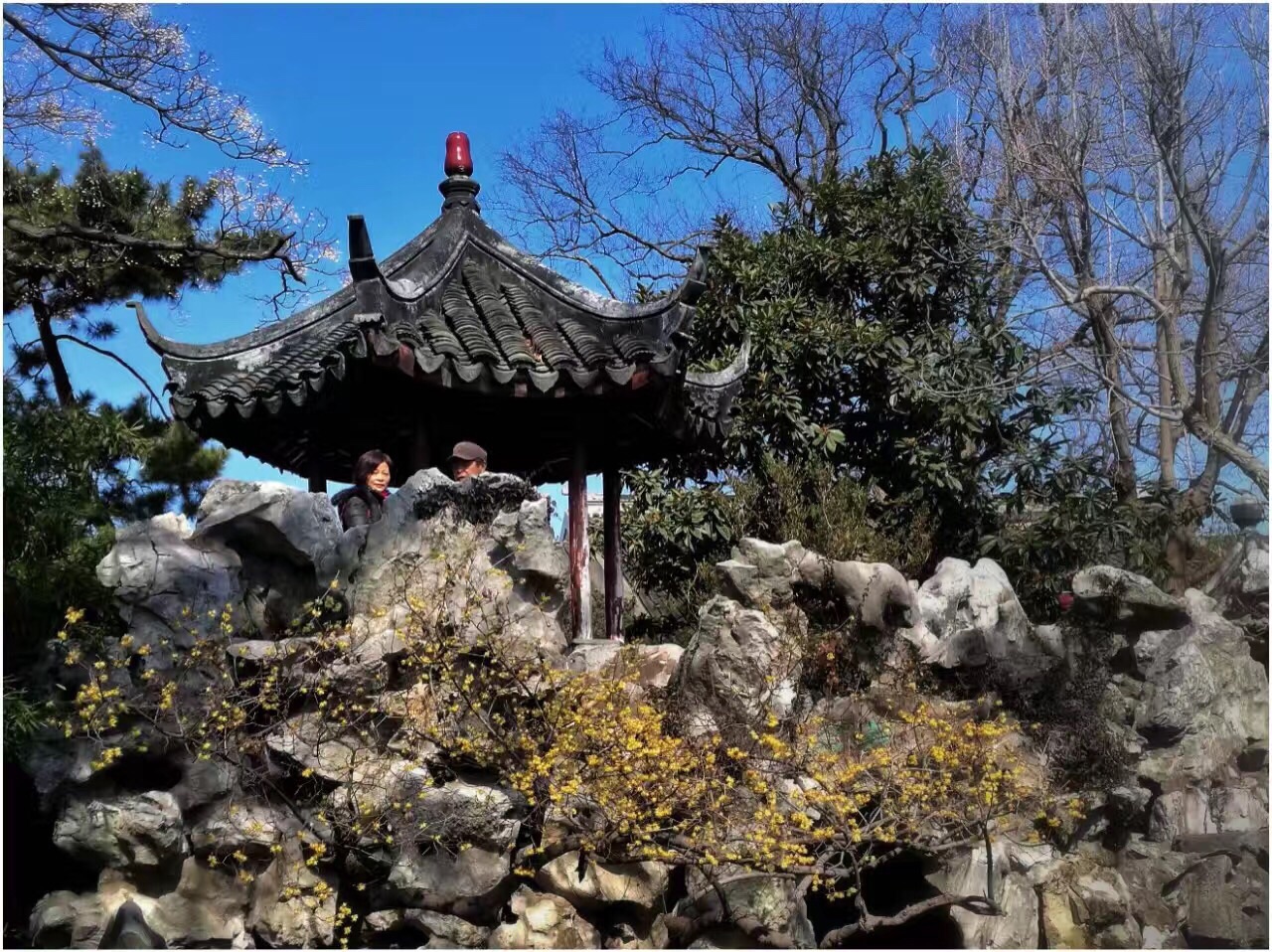 怡园