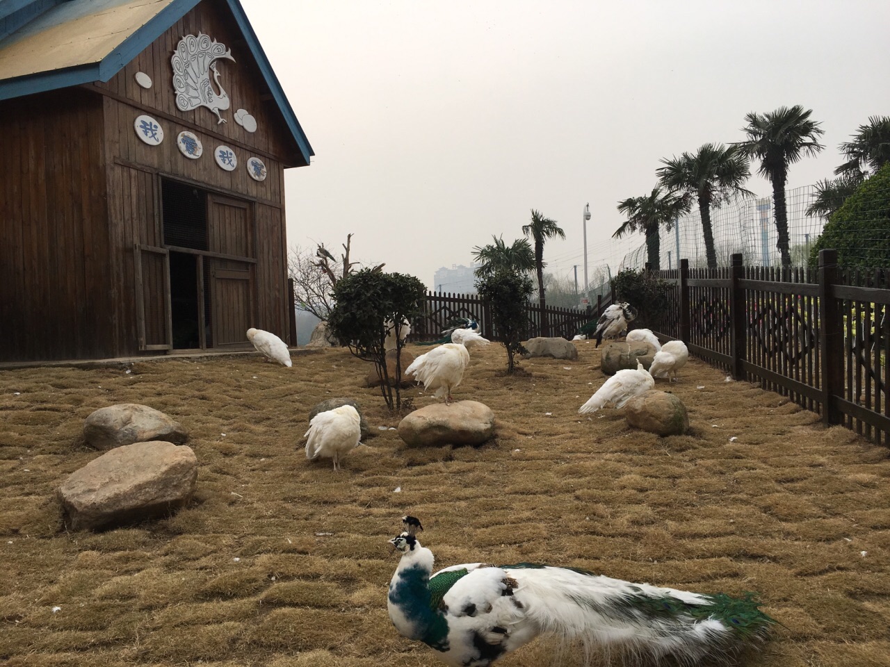 2019神州鸟园_旅游攻略_门票_地址_游记点评,漯河旅游景点推荐 去