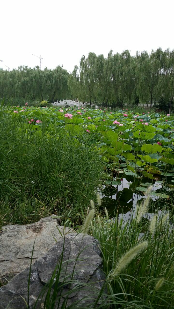 【携程攻略】北京东升八家郊野公园景点,东升八家郊野