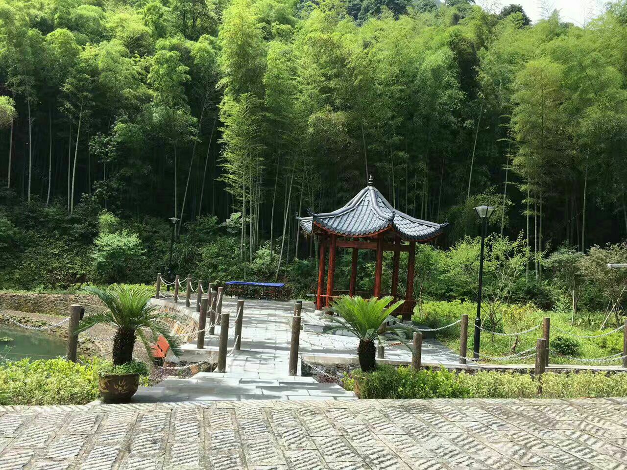 龙坞镇西山森林公园