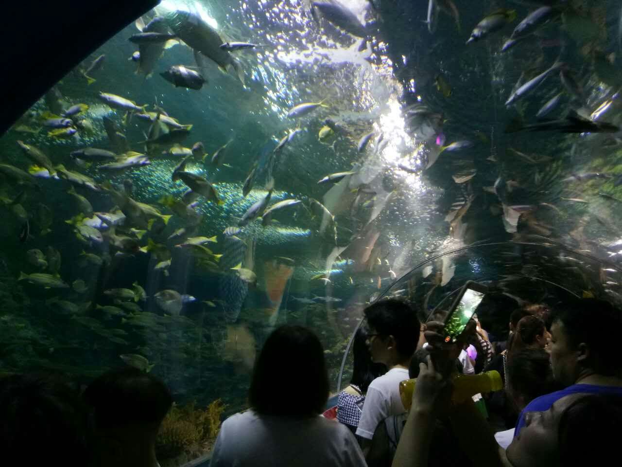 上海海洋水族馆