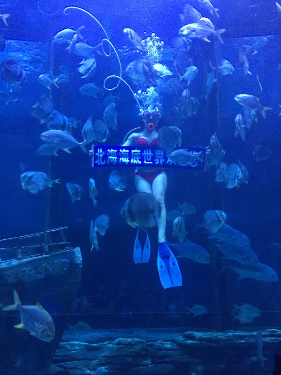 北海北海海底世界好玩吗,北海北海海底世界景点怎么样