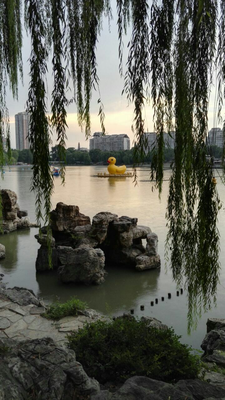 紫竹院公园