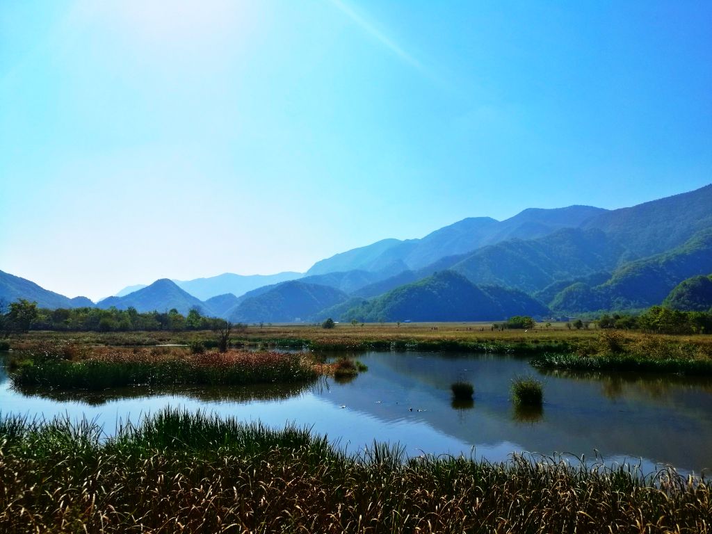 【携程攻略】湖北神农架大九湖国家湿地公园好玩吗,大