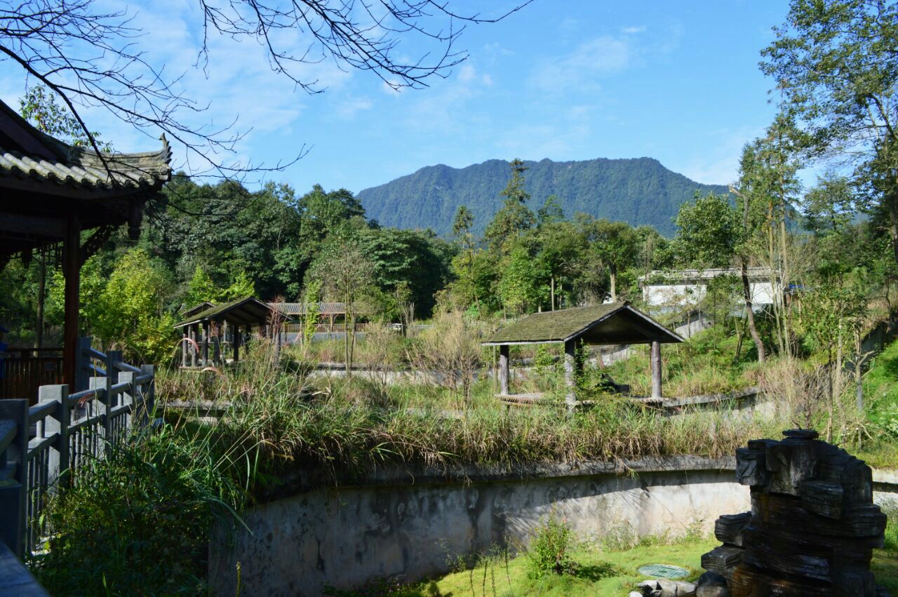 碧峰峡:分为2个景区,一个是风景区,一个是动物园,熊猫在风景区内.