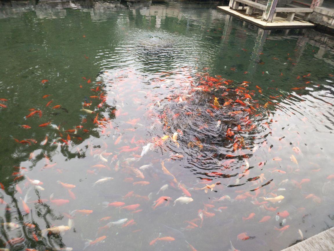 螺丝泉