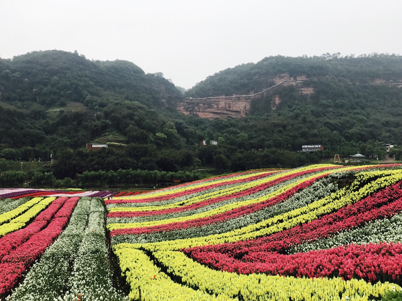 清溪谷旅游区花田酒地景区