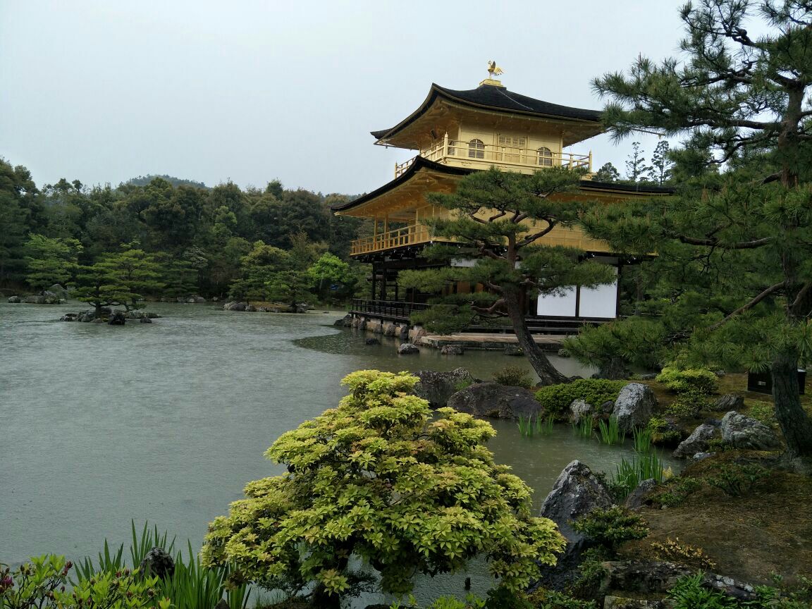 2019金阁寺_旅游攻略_门票_地址_游记点评,京都旅游景点推荐 - 去哪儿