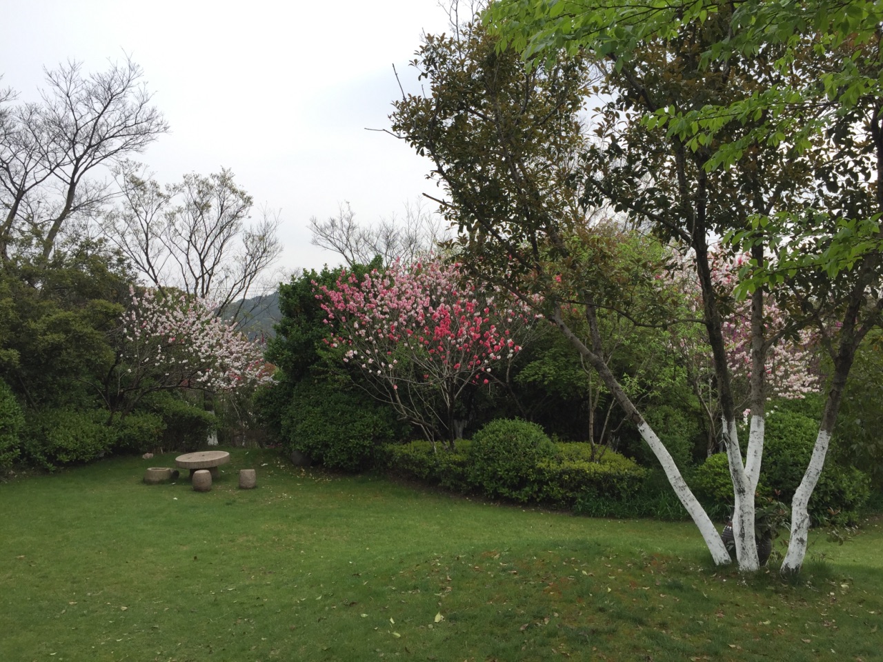 阳山桃花岛景观公园