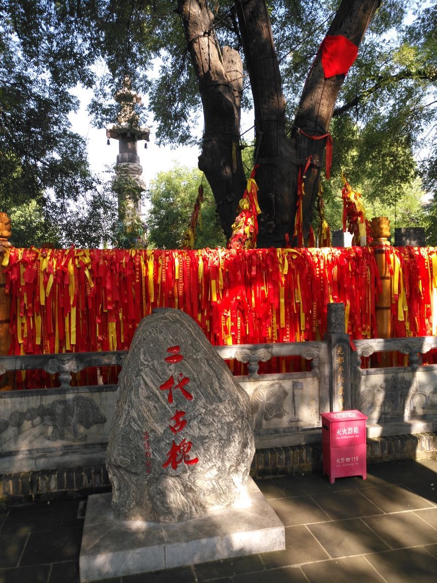 2019洪洞大槐树寻根祭祖园_旅游攻略_门票_地址_游记