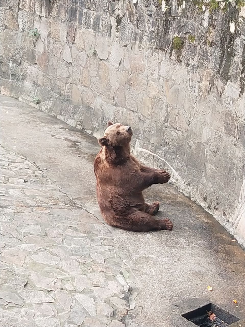 上海动物园