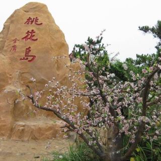 富丽湾桃花岛 分 1条点评 岛屿/半岛 自然风光 距玩乐 100m