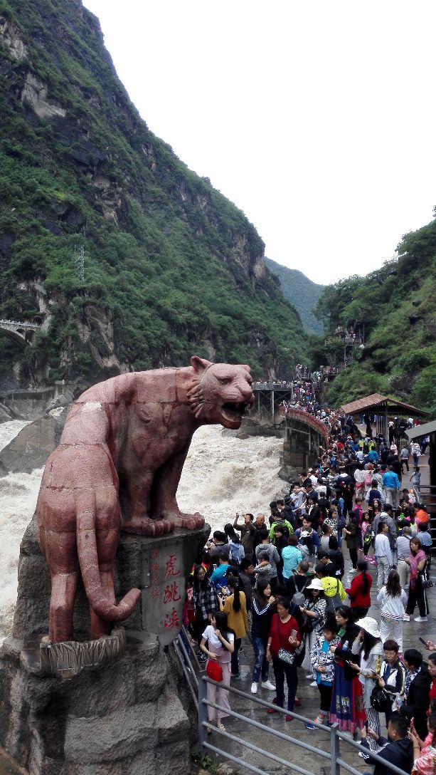 2019虎跳峡_旅游攻略_门票_地址_游记点评,香格里拉