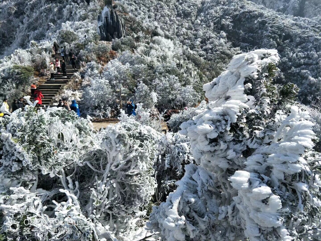 莽山国家森林公园