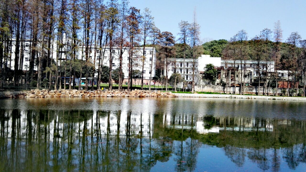 武汉大学v攻略攻略中国之旅乌龟青蛙图片