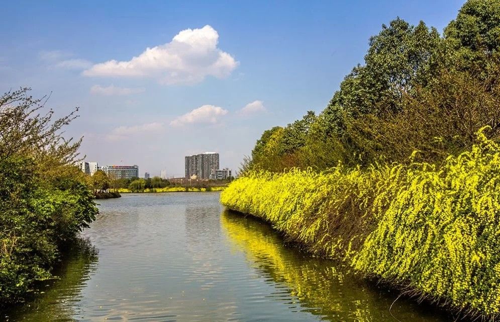 双流区南湖度假风景区攻略,双流区南湖度假风景区门票