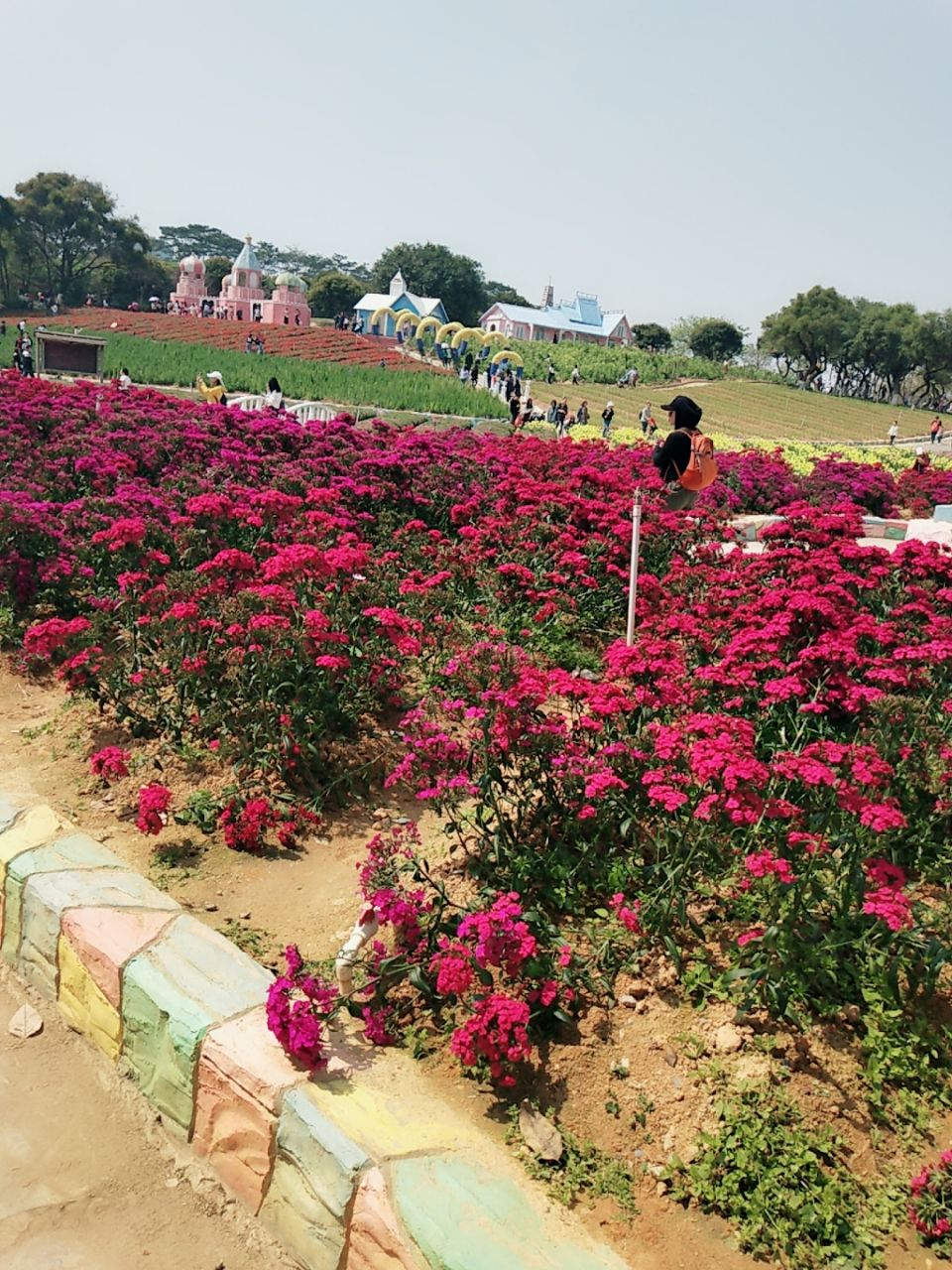 东莞梦幻百花洲好玩吗,东莞梦幻百花洲景点怎么样