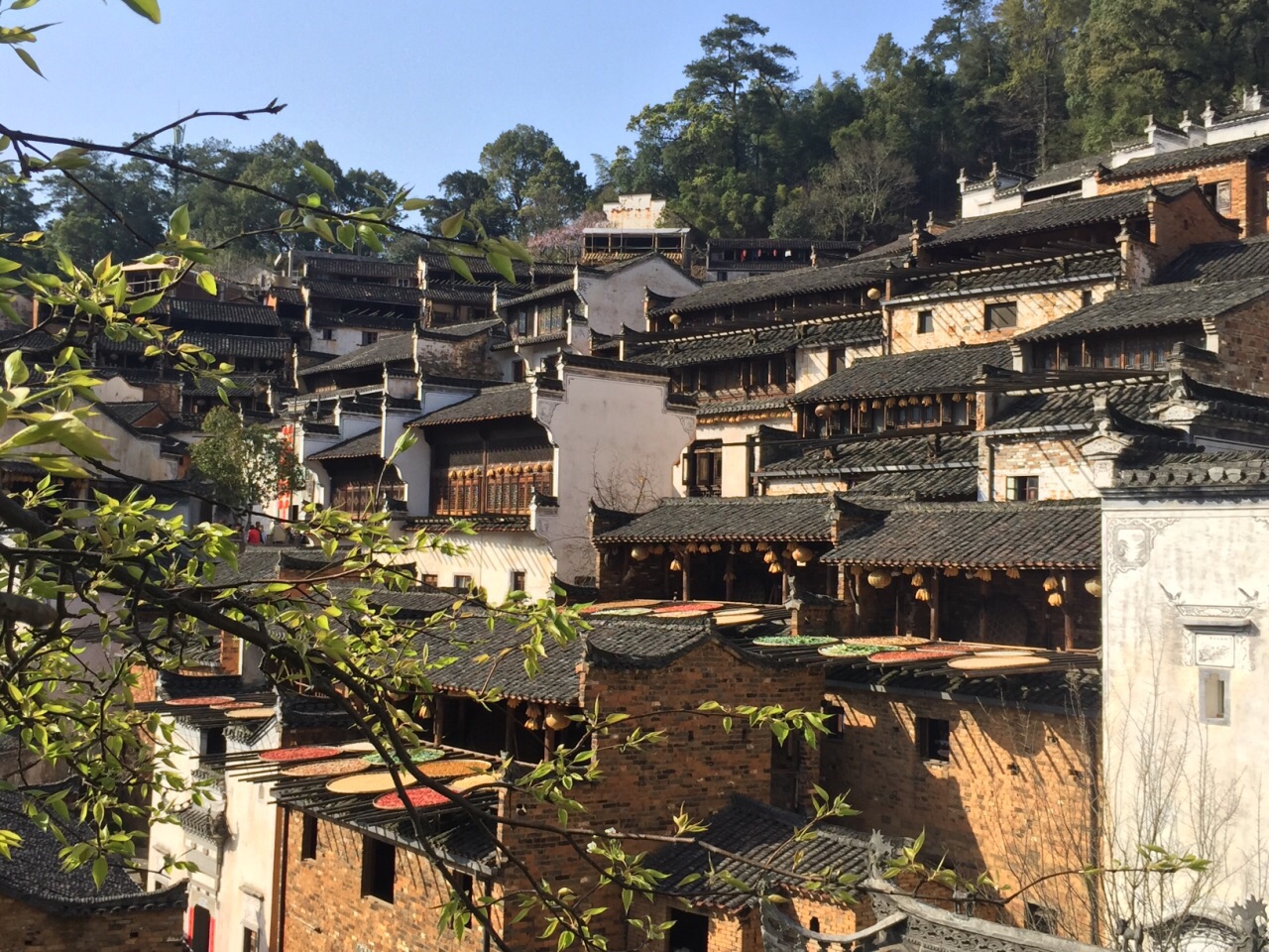 婺源风景区