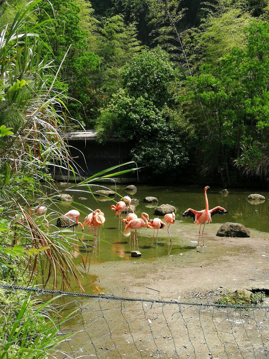 千岛湖东南湖区景区