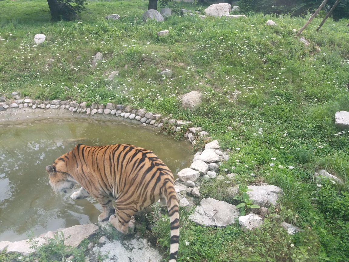 秦岭野生动物园