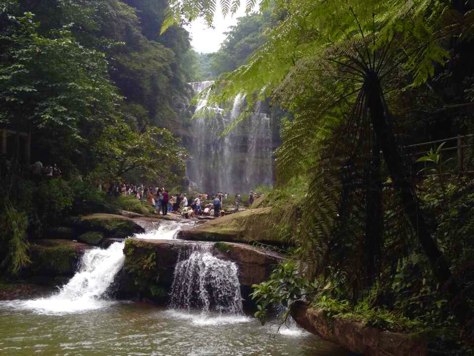 【携程攻略】贵州遵义赤水四洞沟景区好玩吗,贵州景区