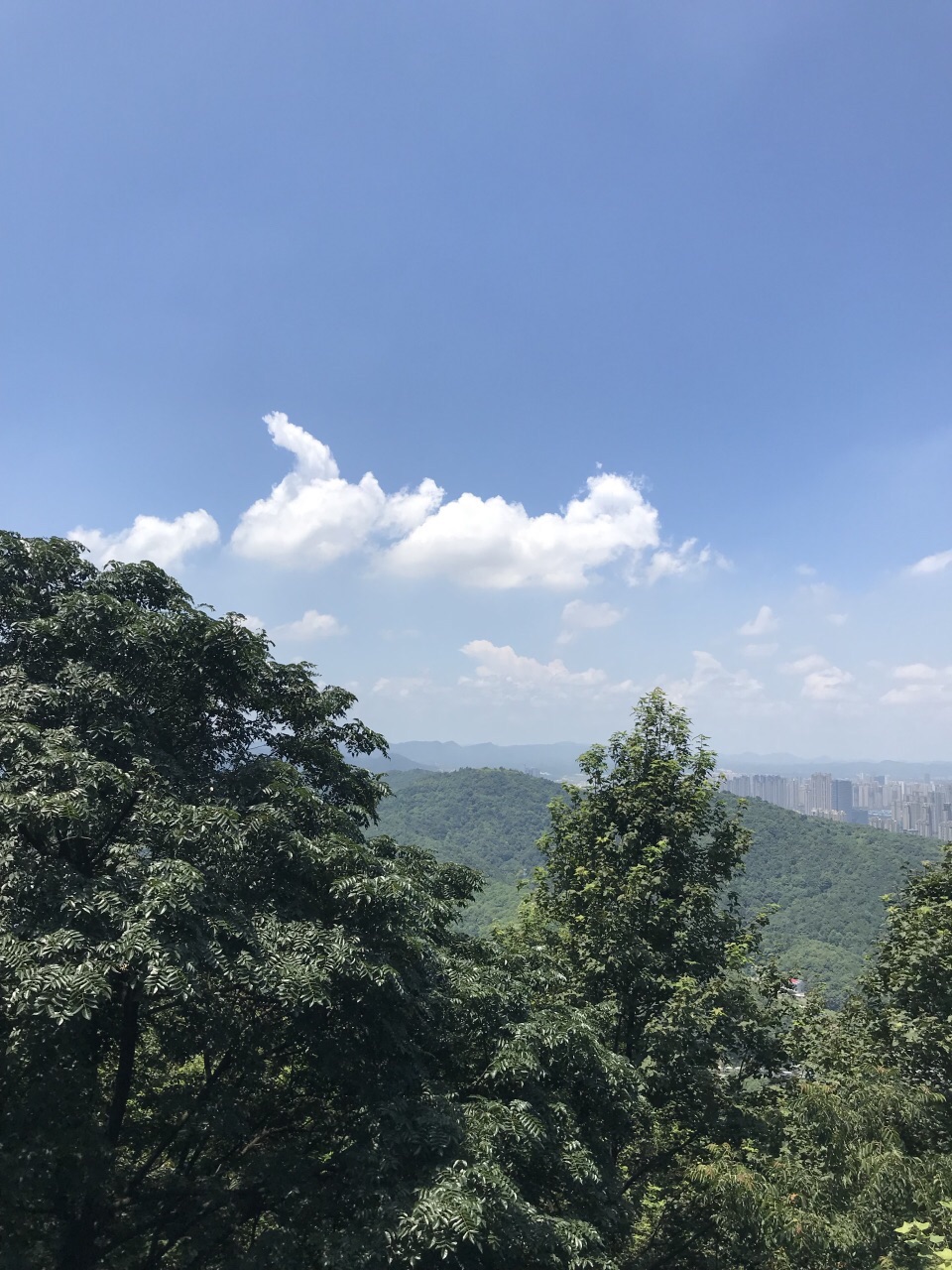 2019岳麓山_旅游攻略_门票_地址_游记点评,长沙旅游景点推荐 - 去哪儿