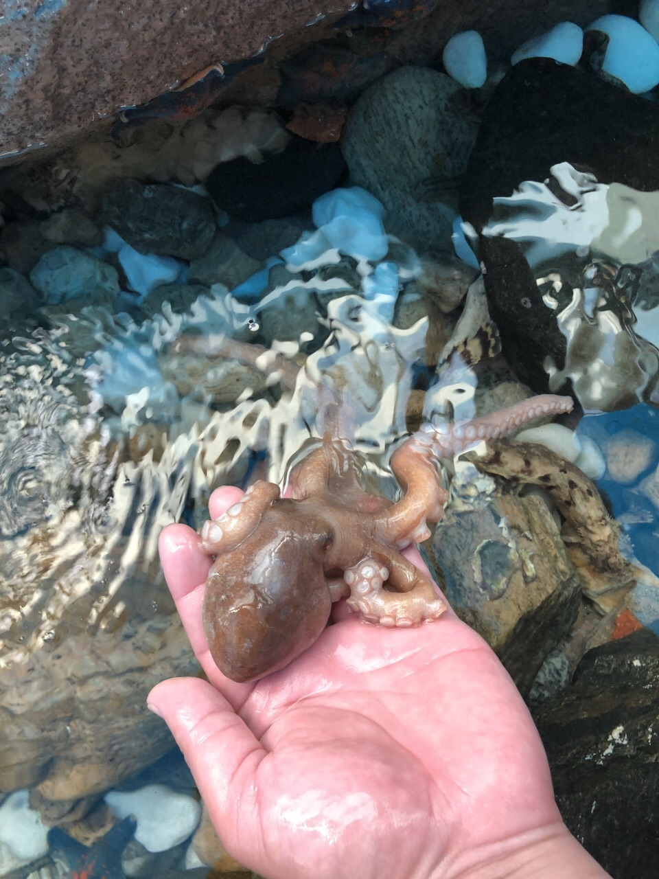 爱伦湾海洋牧场