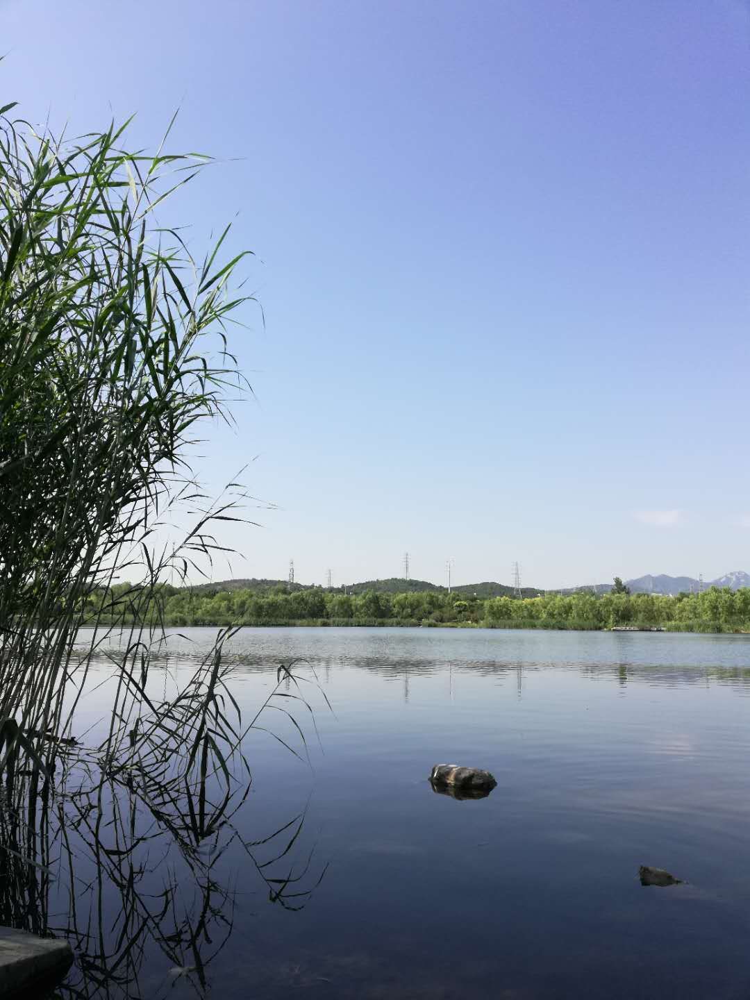 永定河休闲森林公园