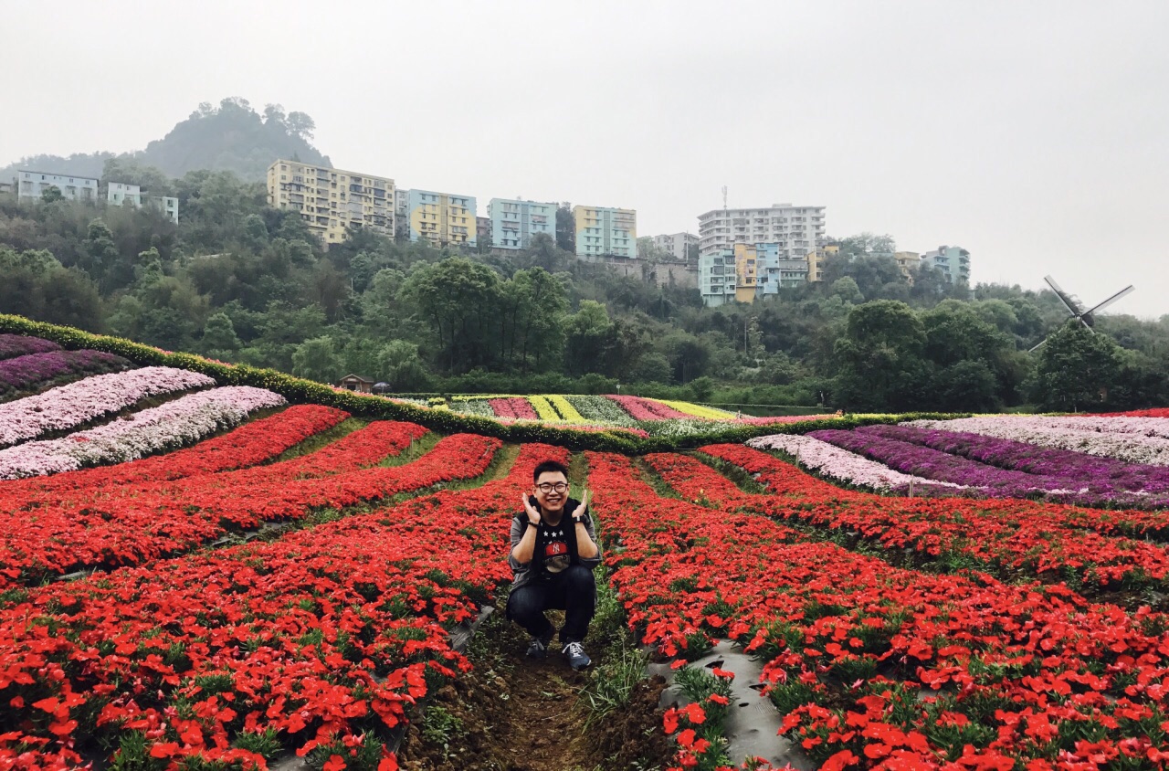 清溪谷旅游区花田酒地景区