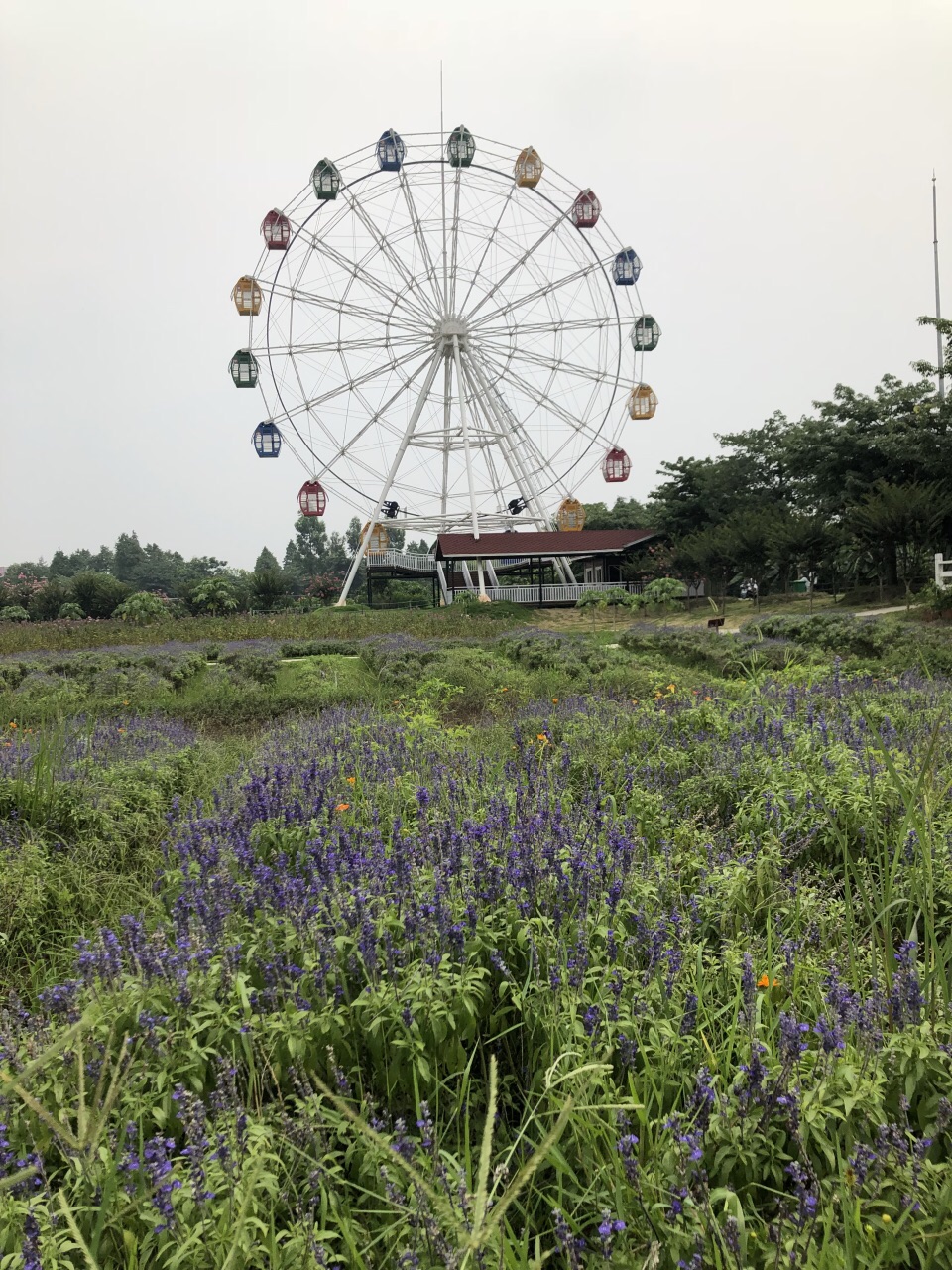 【携程攻略】佛山梦里水乡百花园好玩吗,佛山梦里水乡百花园景点怎么