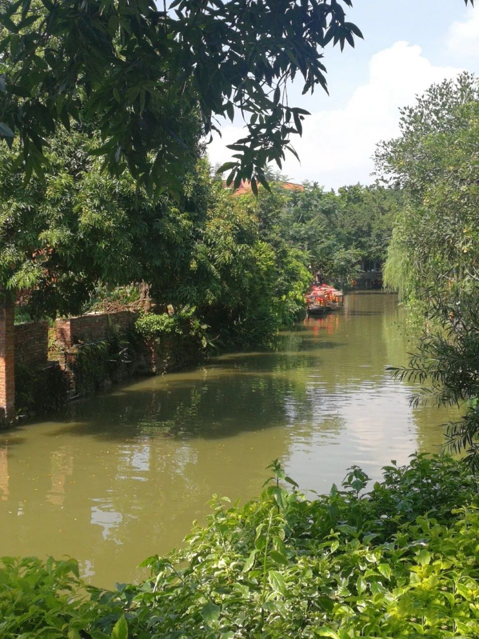 逢简水乡地处广东顺德区杏坛镇北端,锦鲤江畔,水网密布,水环境极优.