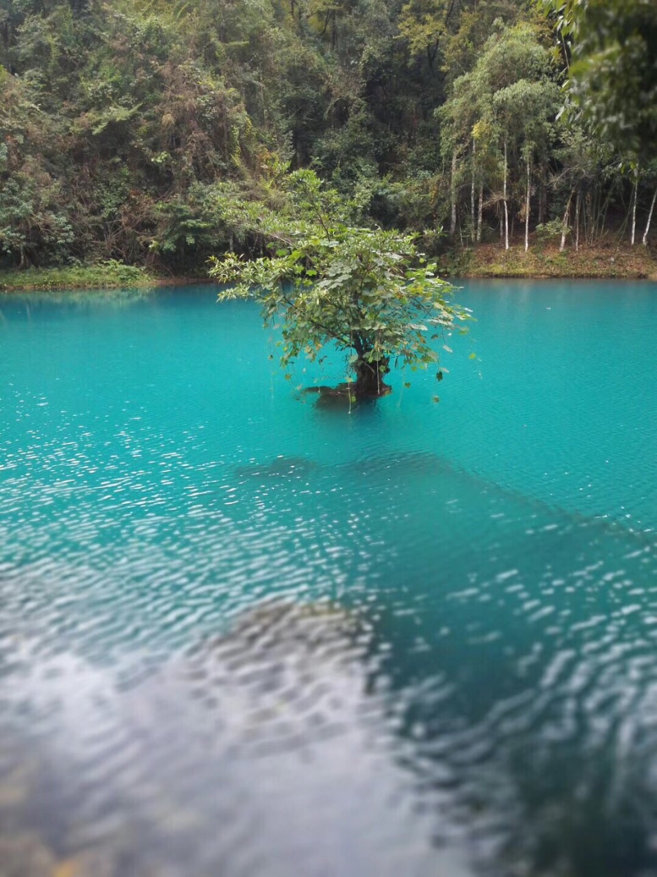 荔波大七孔景区