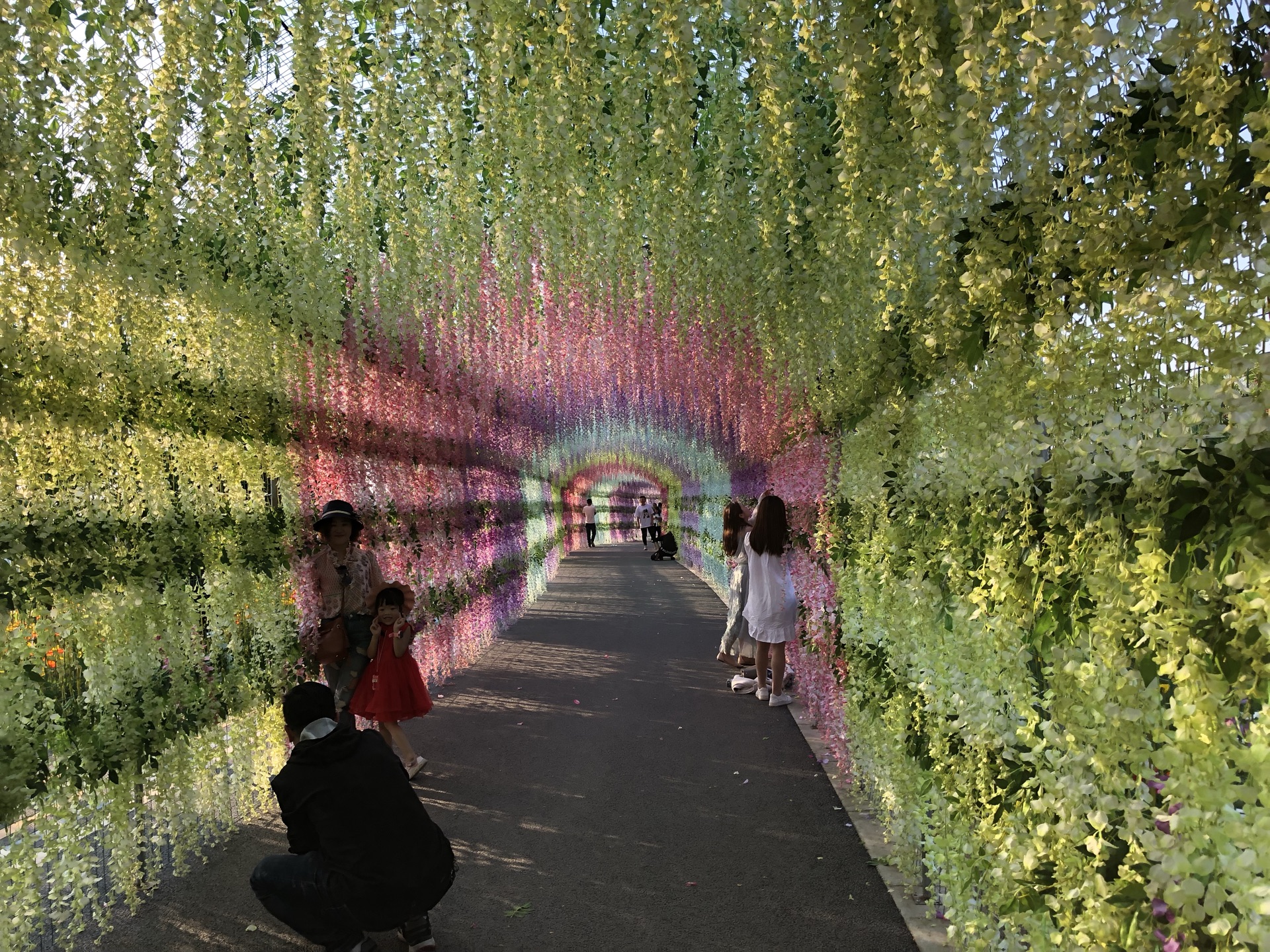 音乐百花谷