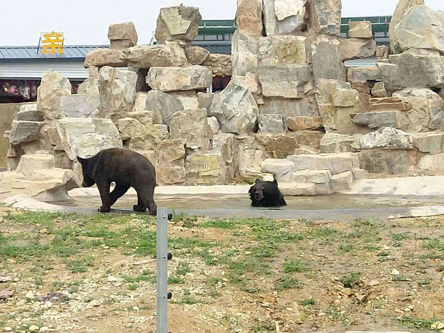 邯郸佛山野生动物园