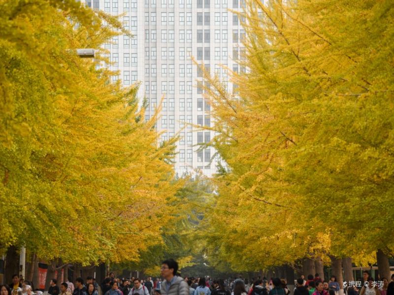 辽宁大学崇山校区
