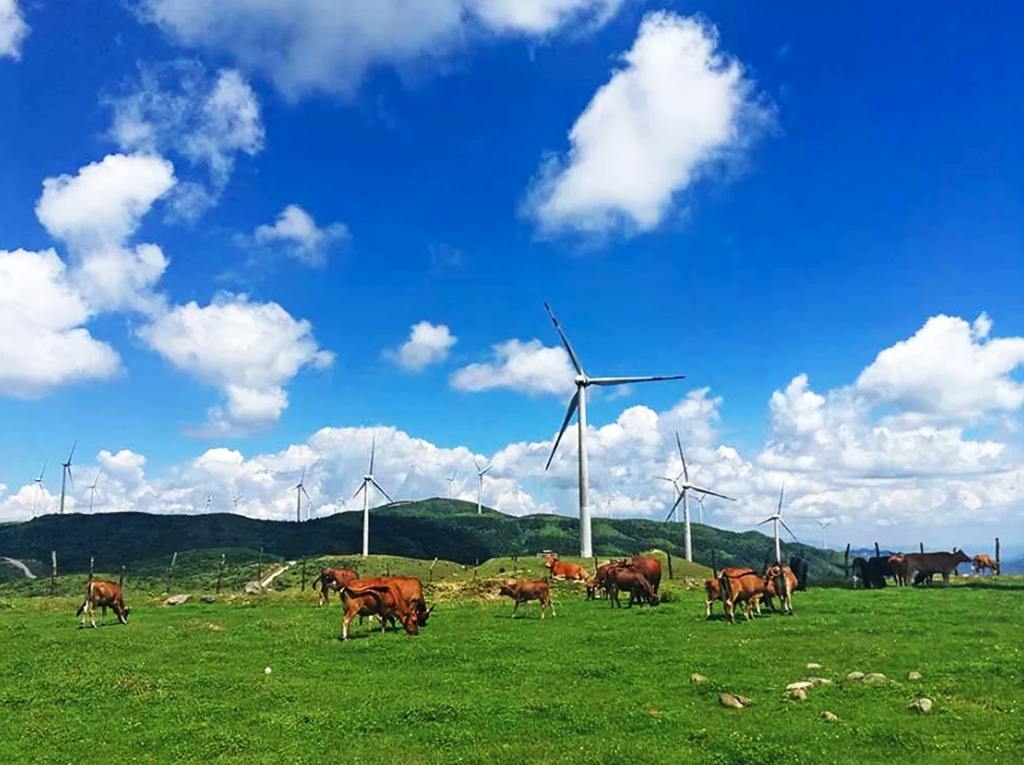 南山牧场旅游景点攻略图