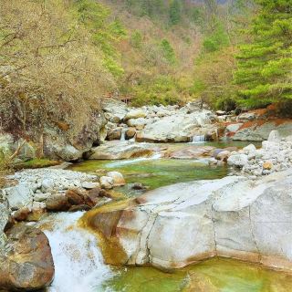 长青自然保护区