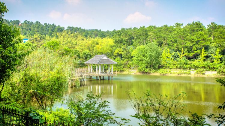 南京游子山休闲旅游区