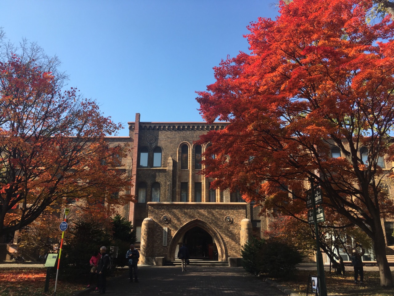北海道大学