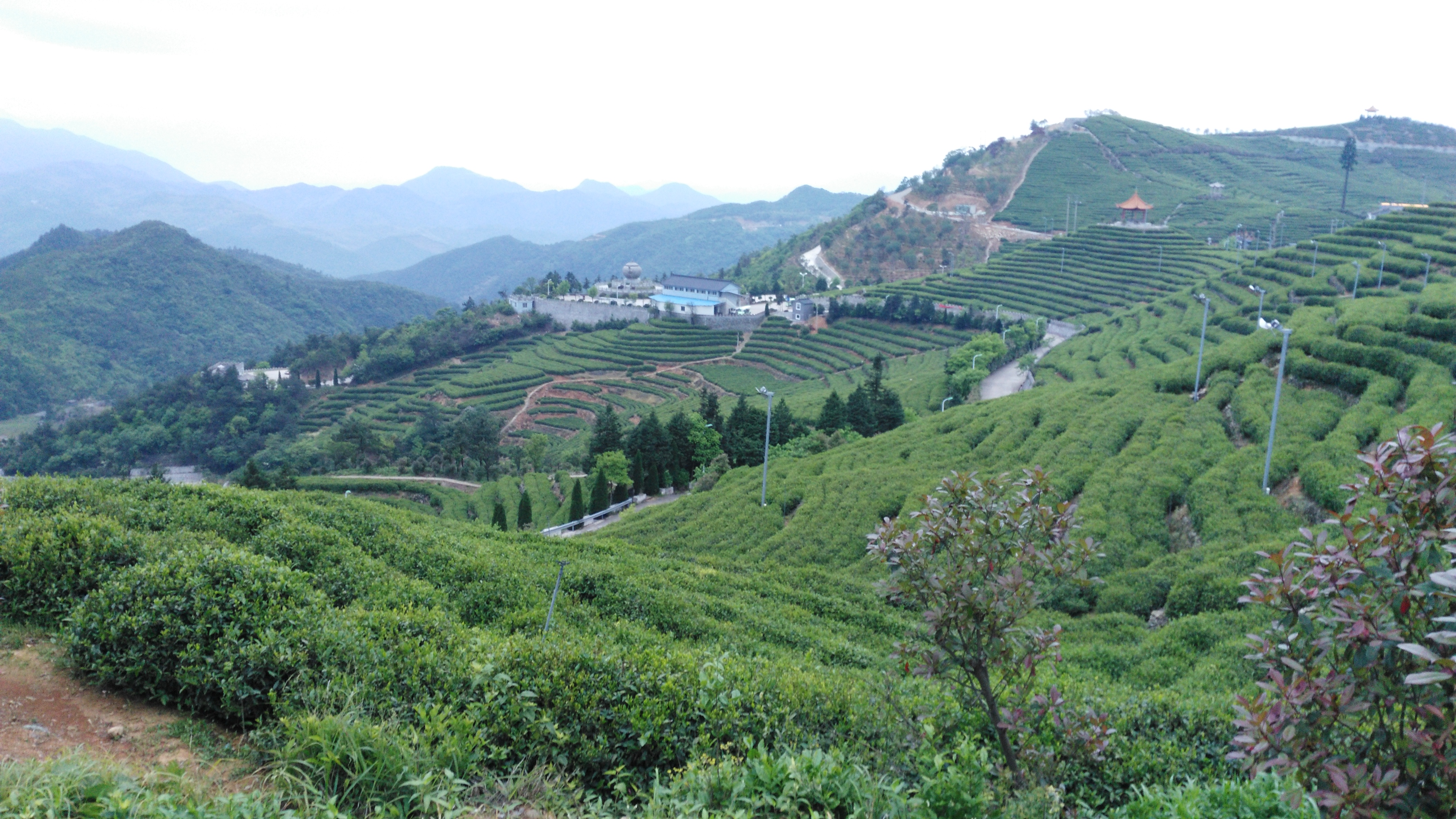 【携程攻略】台州羊岩山茶文化园景点,羊岩山地处临海的西北部,河头镇