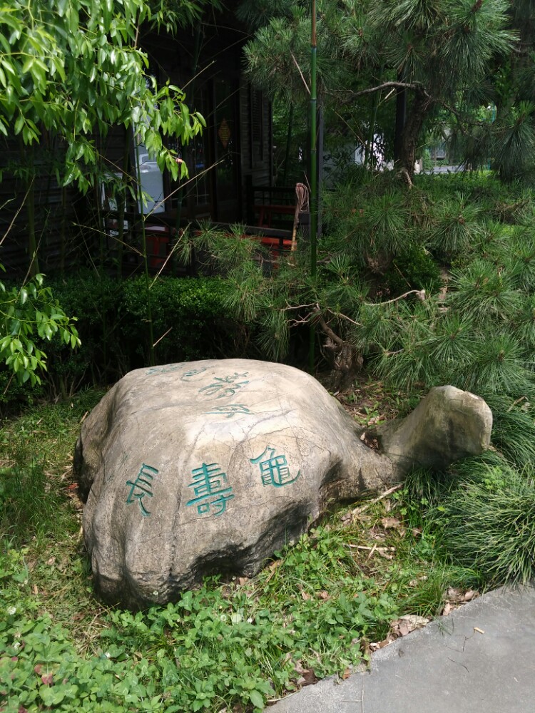 十四小时"旅游景点介绍,发现了位于青浦金泽镇洋来荡路有个金龟岛渔村