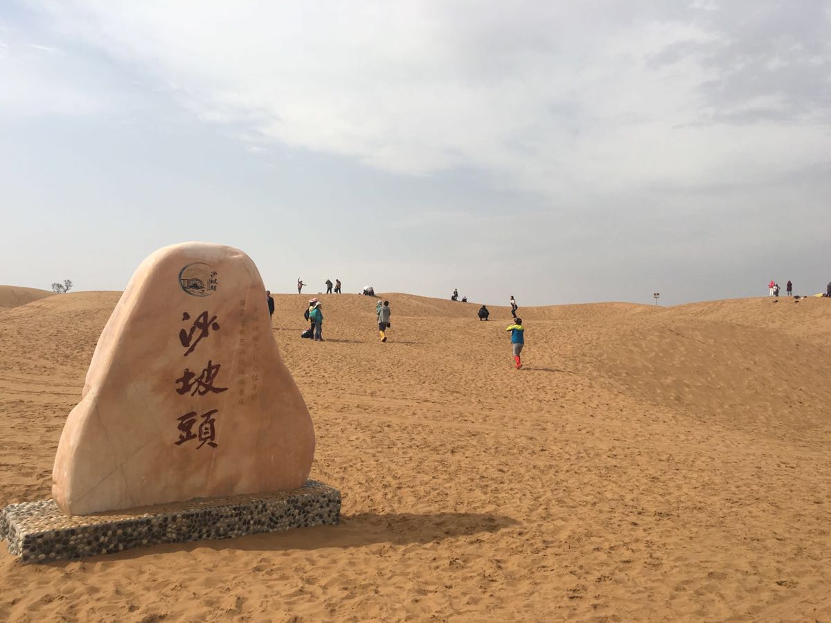 沙坡头旅游景点攻略图